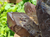 Natural Hematoid Quartz Cluster x 1 From Zimbabwe - Toprock Gemstones and Minerals