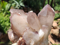 Natural Hematoid Quartz Cluster x 1 From Zimbabwe - Toprock Gemstones and Minerals