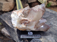 Natural Hematoid Quartz Cluster x 1 From Zimbabwe - Toprock Gemstones and Minerals