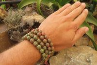 Polished Unakite Beaded Stretch Buddha Bracelet - Sold Per Item - From South Africa - Toprock Gemstones and Minerals