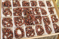 Polished Red Tigers Eye Faceted Beaded Necklace - Sold Per Item - From South Africa - Toprock Gemstones and Minerals