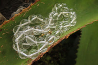Polished Clear Quartz Rock Crystal Ball Shaped Bead Necklace - Sold Per Item - From Brazil - Toprock Gemstones and Minerals