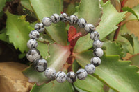 Polished Snowflake Obsidian Beaded Clip On Bracelet  - sold per Pair - From Mexico - Toprock Gemstones and Minerals