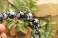 Polished Snowflake Obsidian Beaded Clip On Bracelet  - sold per Pair - From Mexico - Toprock Gemstones and Minerals