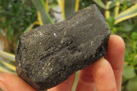 Natural Alluvial Schorl Black Tourmaline Specimens x 6 From Zimbabwe - Toprock Gemstones and Minerals