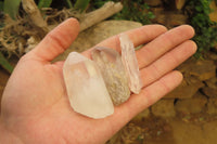 Natural Clear Quartz Crystals x 46 From Madagascar - Toprock Gemstones and Minerals