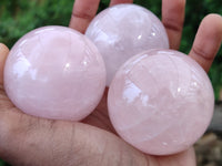 Polished Rose Quartz Spheres x 6 From Madagascar - Toprock Gemstones and Minerals