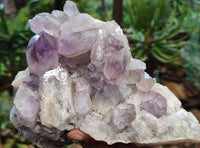 Natural Jacaranda Amethyst Quartz Clusters x 2 from Mumbwa, Zambia - Toprock Gemstones and Minerals
