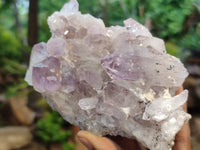Natural Jacaranda Amethyst Quartz Clusters x 2 from Mumbwa, Zambia - Toprock Gemstones and Minerals
