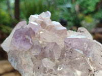 Natural Jacaranda Amethyst Quartz Clusters x 2 from Mumbwa, Zambia - Toprock Gemstones and Minerals