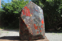 Polished Bloodstone Points x 1 From Swaziland - Toprock Gemstones and Minerals