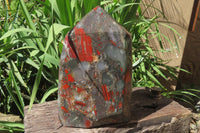 Polished Bloodstone Points x 1 From Swaziland - Toprock Gemstones and Minerals