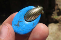 Polished Pair of Blue Turquenite Howlite Go Go Earrings - Sold Per Pair - From Zimbabwe - Toprock Gemstones and Minerals