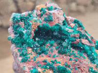 Natural Dioptase Cabinet Specimen x 1 From Reneville Brazzaville, Congo - Toprock Gemstones and Minerals