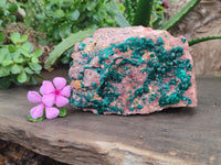 Natural Dioptase Cabinet Specimen x 1 From Reneville Brazzaville, Congo - Toprock Gemstones and Minerals