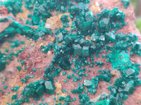 Natural Dioptase Cabinet Specimen x 1 From Reneville Brazzaville, Congo - Toprock Gemstones and Minerals
