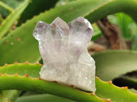 Natural Jacaranda Amethyst Quartz Clusters x 14 from Mumbwa, Zambia - Toprock Gemstones and Minerals