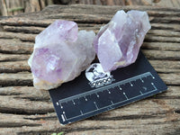 Natural Jacaranda Amethyst Quartz Clusters x 14 from Mumbwa, Zambia - Toprock Gemstones and Minerals
