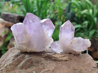 Natural Jacaranda Amethyst Quartz Clusters x 14 from Mumbwa, Zambia - Toprock Gemstones and Minerals
