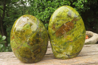 Polished Green Opal Standing Free Forms x 4 From Antsirabe, Madagascar - Toprock Gemstones and Minerals