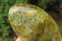 Polished Green Opal Standing Free Forms x 4 From Antsirabe, Madagascar - Toprock Gemstones and Minerals