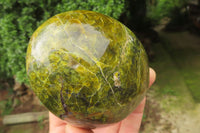 Polished Green Opal Standing Free Forms x 4 From Antsirabe, Madagascar - Toprock Gemstones and Minerals