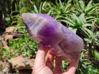 Polished Chevron Amethyst Points x 2 From Madagascar - Toprock Gemstones and Minerals