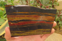 Hand Made Tigers Decoupage on Banded Tiger Iron Jasper Stone Slabs - Sold Per Item - From South Africa - Toprock Gemstones and Minerals