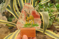 Hand Made African Kudu Buck Decoupage on Brecciated Jasper Stone Slabs - Sold Per Item - From South Africa - Toprock Gemstones and Minerals