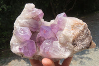 Natural Jacaranda Amethyst Quartz Cluster x 1 from Mumbwa, Zambia - Toprock Gemstones and Minerals