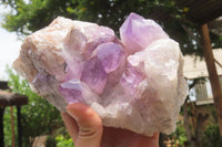 Natural Jacaranda Amethyst Quartz Cluster x 1 from Mumbwa, Zambia - Toprock Gemstones and Minerals