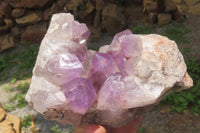 Natural Jacaranda Amethyst Quartz Cluster x 1 from Mumbwa, Zambia - Toprock Gemstones and Minerals