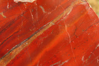 Hand Made African Kudu Buck Decoupage on Tiger Iron Jasper Stone Slabs - Sold Per Item - From Australia - Toprock Gemstones and Minerals