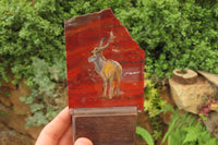 Hand Made African Kudu Buck Decoupage on Tiger Iron Jasper Stone Slabs - Sold Per Item - From Australia - Toprock Gemstones and Minerals