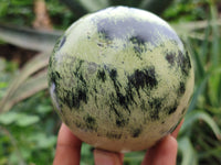 Polished Leopard Stone Spheres x 2 From Nyanga, Zimbabwe - Toprock Gemstones and Minerals
