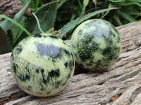 Polished Leopard Stone Spheres x 2 From Nyanga, Zimbabwe - Toprock Gemstones and Minerals