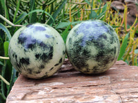 Polished Leopard Stone Spheres x 2 From Nyanga, Zimbabwe - Toprock Gemstones and Minerals