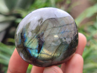 Polished Labradorite Palm Stones x 12 From Madagascar - Toprock Gemstones and Minerals