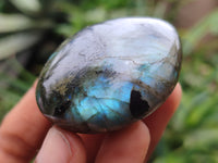 Polished Labradorite Palm Stones x 12 From Madagascar - Toprock Gemstones and Minerals