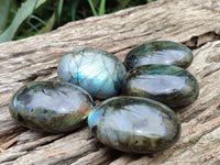 Polished Labradorite Palm Stones x 12 From Madagascar - Toprock Gemstones and Minerals