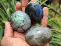 Polished Labradorite Palm Stones x 12 From Madagascar - Toprock Gemstones and Minerals