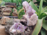 Natural Jacaranda Amethyst Quartz Clusters x 2 from Mumbwa, Zambia - Toprock Gemstones and Minerals