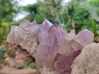 Natural Jacaranda Amethyst Quartz Clusters x 2 from Mumbwa, Zambia - Toprock Gemstones and Minerals