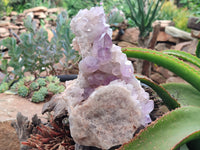 Natural Jacaranda Amethyst Quartz Clusters x 2 from Mumbwa, Zambia - Toprock Gemstones and Minerals