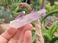 Natural Chiredzi Amethyst Conglomerate Specimens x 14 From Chiredzi, Zimbabwe - Toprock Gemstones and Minerals