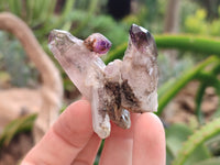 Natural Chiredzi Amethyst Conglomerate Specimens x 14 From Chiredzi, Zimbabwe - Toprock Gemstones and Minerals