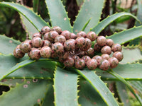 Hand Made Mixed Stone Bead Necklaces x 6 From China - Toprock Gemstones and Minerals