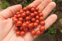 Polished Red Jasper Bead Necklace - Sold Per Item - From South Africa - Toprock Gemstones and Minerals