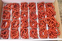 Polished Red Jasper Bead Necklace - Sold Per Item - From South Africa - Toprock Gemstones and Minerals