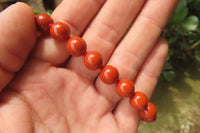 Polished Red Jasper Bead Necklace - Sold Per Item - From South Africa - Toprock Gemstones and Minerals